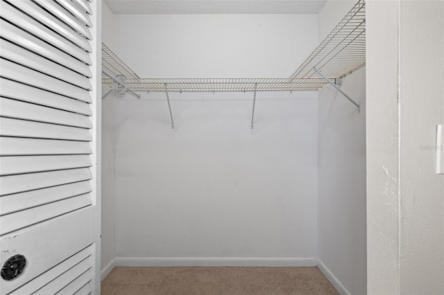 walk in closet featuring carpet