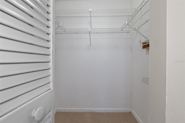 walk in closet featuring carpet flooring