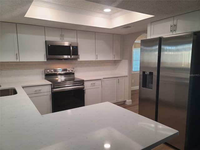 kitchen featuring dark wood-type flooring, white cabinets, appliances with stainless steel finishes, tasteful backsplash, and a tray ceiling