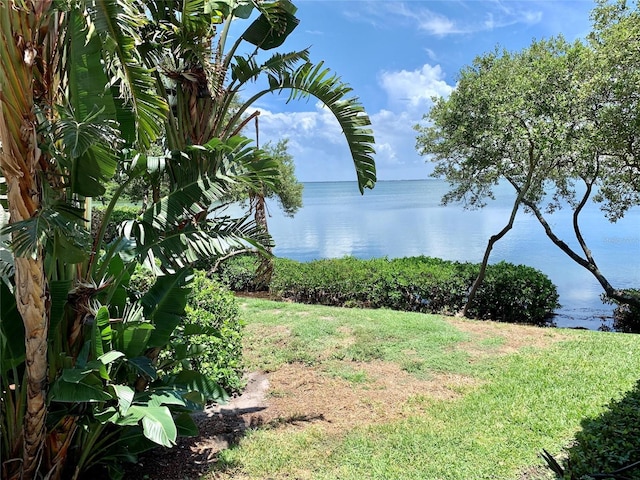 1515 Pinellas Bayway S Unit 35, Tierra Verde, FL 33715 - view of green lawn with a water view