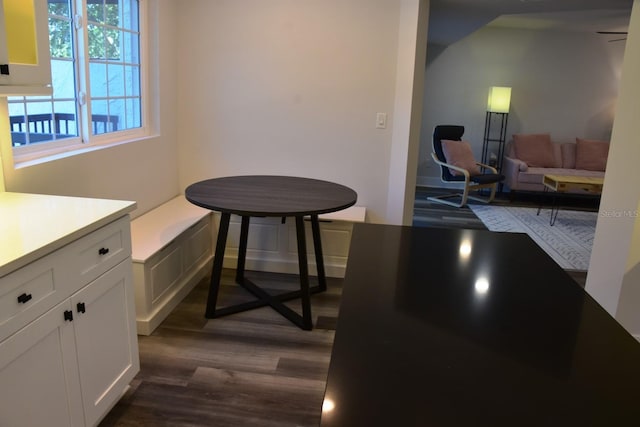 dining room featuring dark wood-type flooring