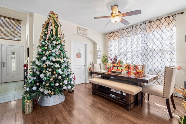 dining area featuring ceiling fan, hardwood / wood-style floors, and a textured ceiling