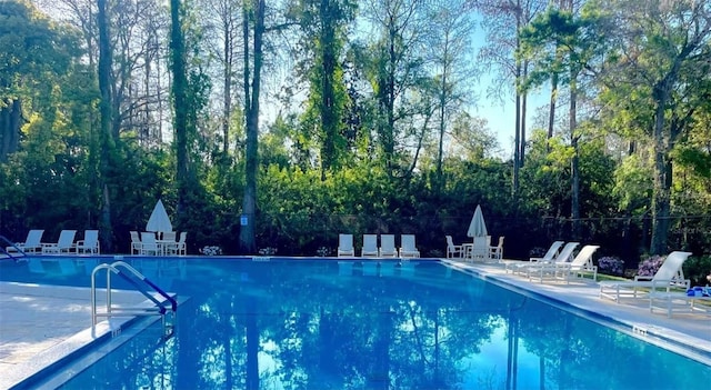 view of pool with a patio