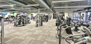 2122 Hereford Dr Unit 511, Sun City Center, FL 33573 - gym featuring carpet floors
