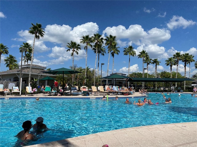 view of swimming pool