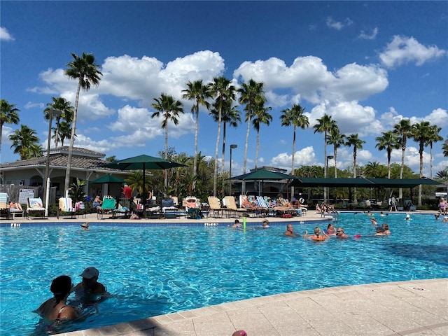 2122 Hereford Dr Unit 511, Sun City Center, FL 33573 - community pool featuring a patio area
