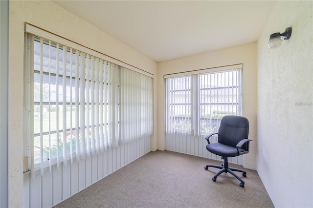 sitting room with carpet floors