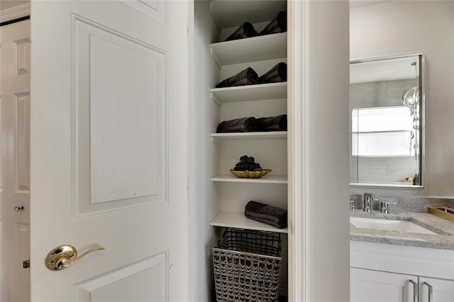 closet with sink