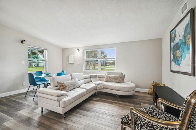 living room with a textured ceiling, a wealth of natural light, dark hardwood / wood-style flooring, and lofted ceiling