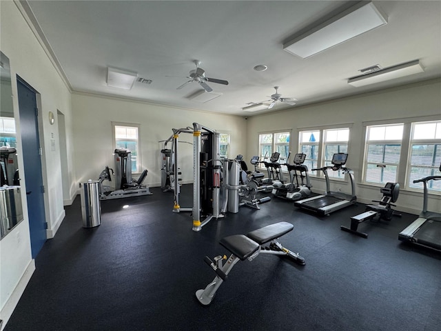 workout area with plenty of natural light, ornamental molding, and ceiling fan