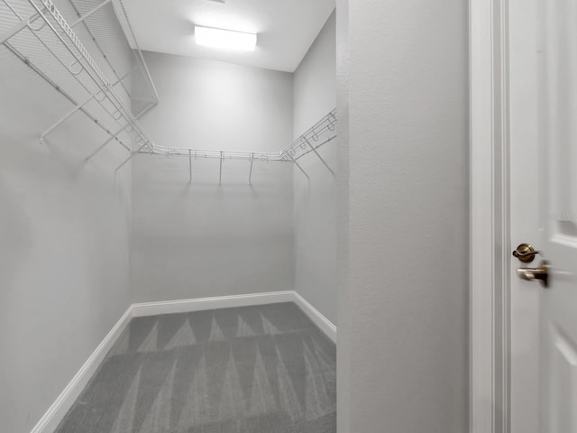 walk in closet with dark colored carpet