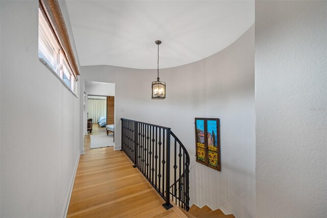 747 Brightwaters Blvd NE, Saint Petersburg, FL 33704 - photo 69