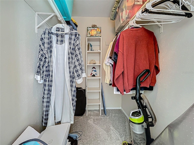 walk in closet featuring carpet floors