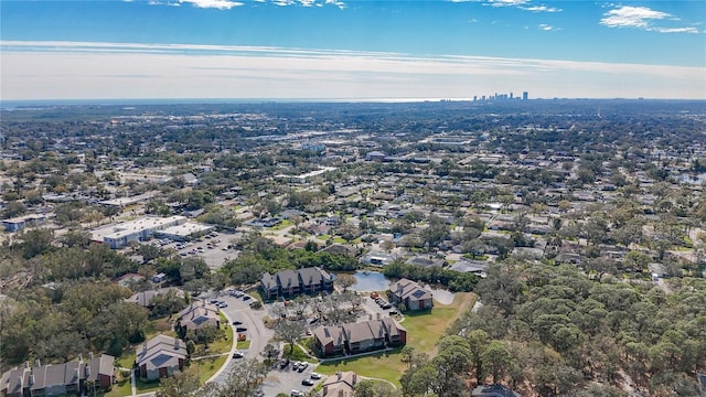 bird's eye view