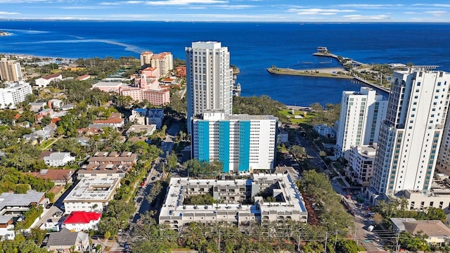 bird's eye view with a water view