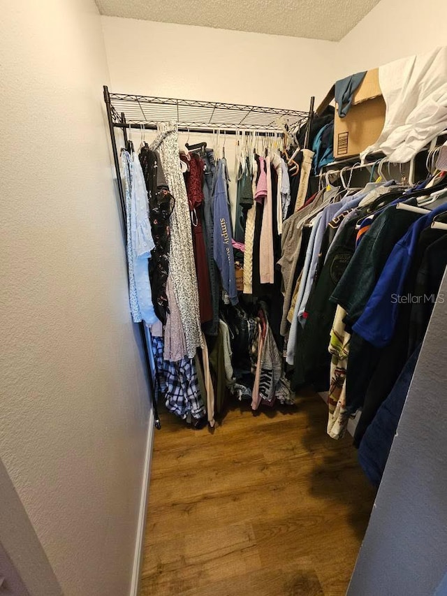 spacious closet featuring wood finished floors