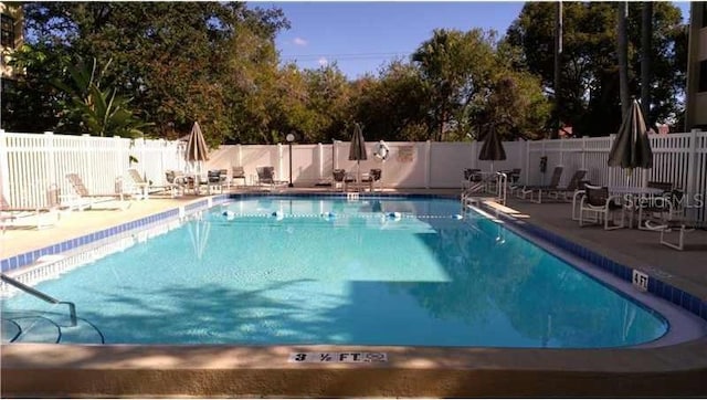 view of swimming pool featuring a patio area