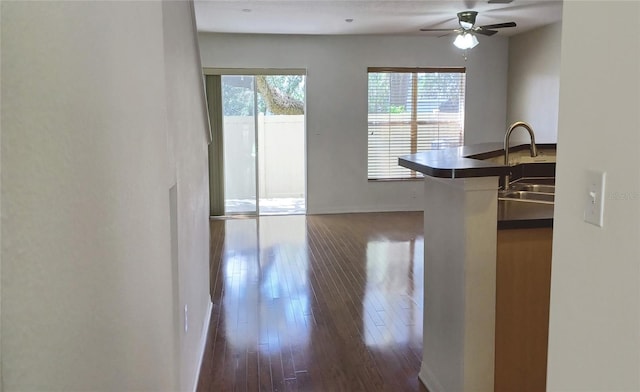 kitchen with ceiling fan, sink, and dark hardwood / wood-style floors