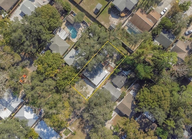 1428 Illinois Ave, Palm Harbor, FL 34683 - aerial view of property and surrounding area with property boundaries highlighted