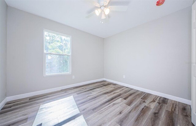 3562 Fisher Rd, Palm Harbor, FL 34683 - photo 21