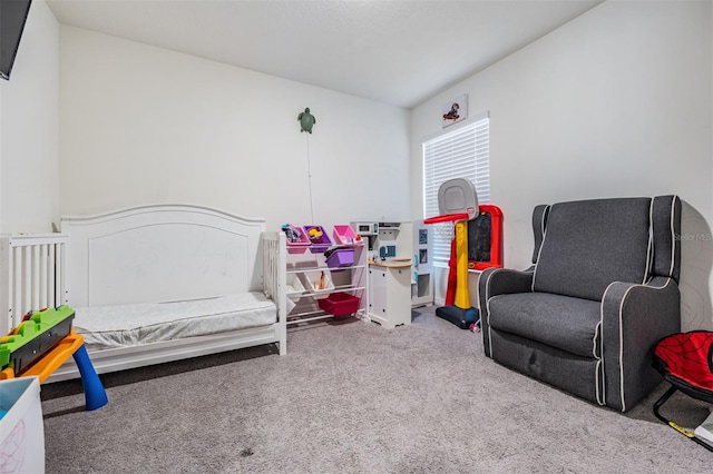 bedroom featuring carpet