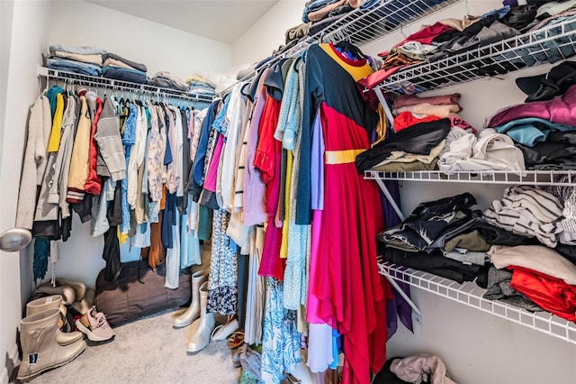 spacious closet with carpet