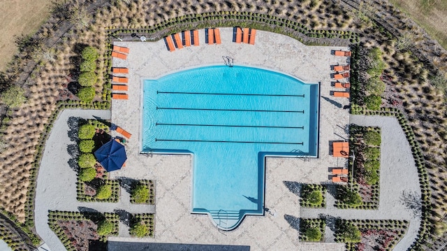 16838 Delia St, Wimauma, FL 33598 - bird's eye view of a pool area