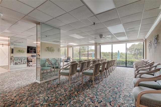 carpeted dining space featuring floor to ceiling windows, a drop ceiling, and ornamental molding