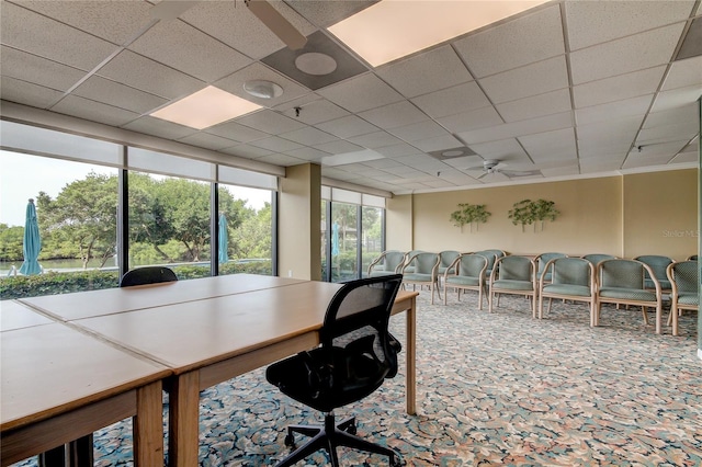 office area with a paneled ceiling, ceiling fan, and carpet