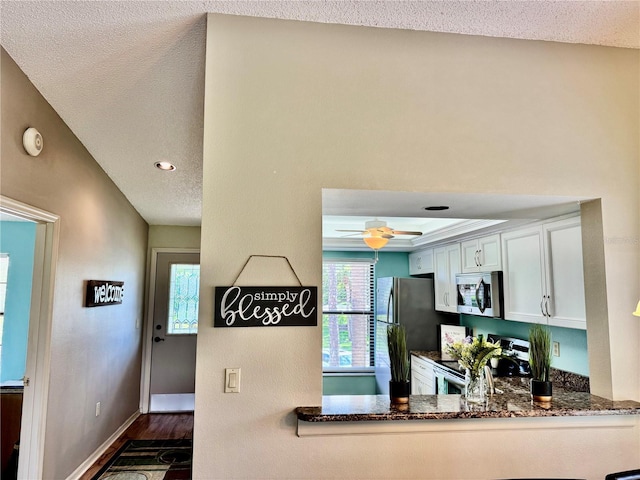4452 Weybridge St Unit 74, Sarasota, FL 34235 - kitchen featuring stainless steel appliances, dark stone countertops, a ceiling fan, dark wood finished floors, and a textured ceiling