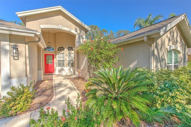 3125 Bent Creek Dr, Valrico, FL 33596 - doorway to property with stucco siding and roof with shingles