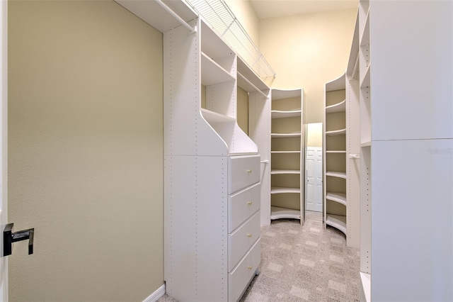 spacious closet featuring light colored carpet