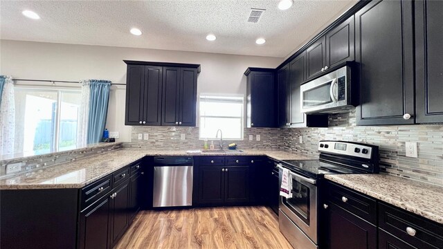 2012 Fern Ridge Ct, Holiday, FL 34691 - kitchen featuring stainless steel appliances, a sink, light stone counters, light wood finished floors, and a peninsula
