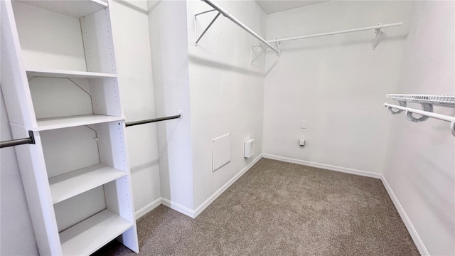2012 Fern Ridge Ct, Holiday, FL 34691 - walk in closet with carpet flooring