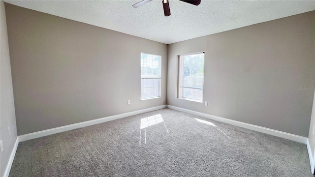 2012 Fern Ridge Ct, Holiday, FL 34691 - spare room with carpet, baseboards, a ceiling fan, and a textured ceiling