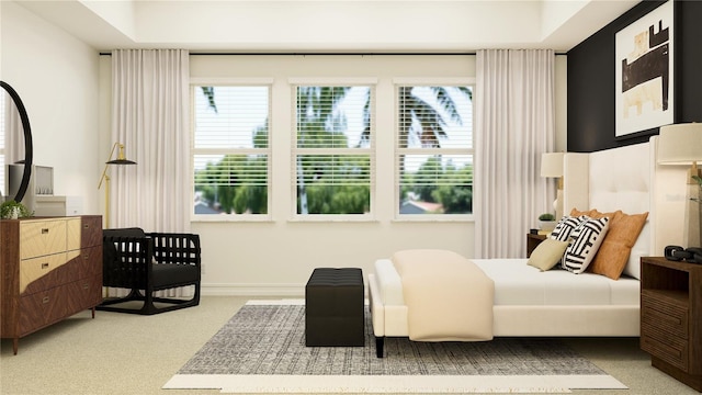 carpeted bedroom featuring a tray ceiling