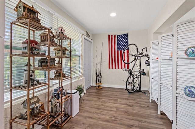 interior space featuring hardwood / wood-style floors