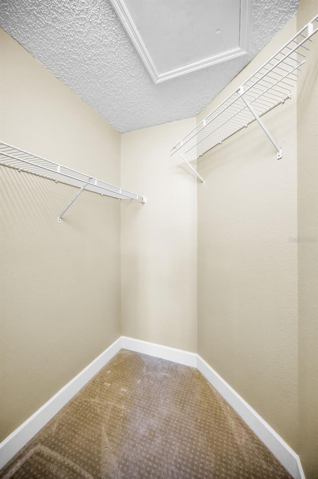 spacious closet with carpet flooring