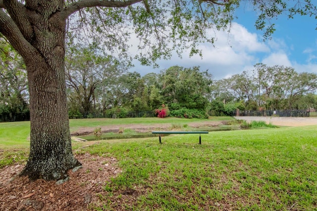 view of home's community with a yard