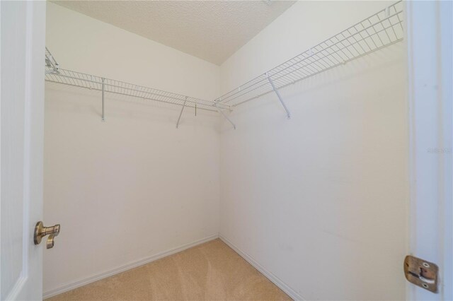 1257 Corinth Greens Dr Unit 1257, Sun City Center, FL 33573 - spacious closet featuring light carpet