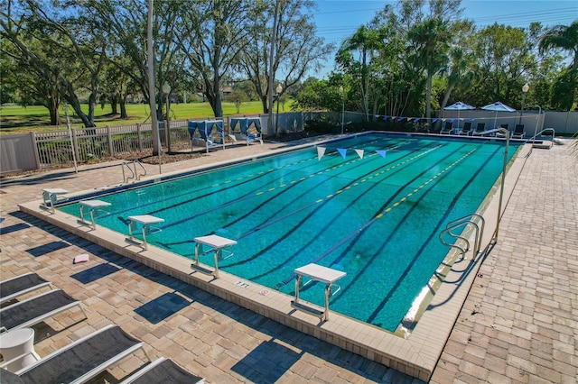 view of swimming pool featuring a diving board and a patio