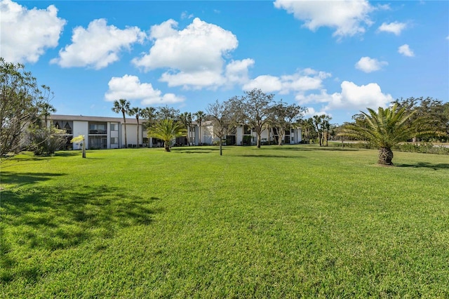 122 E Cypress Ct Unit 22, Oldsmar, FL 34677 - view of yard