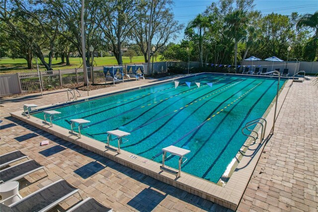 122 E Cypress Ct Unit 22, Oldsmar, FL 34677 - community pool with a diving board, view of wooded area, and a patio