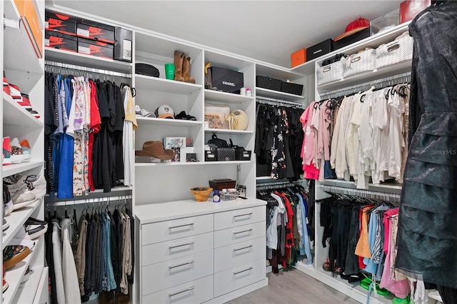 spacious closet with light wood-type flooring