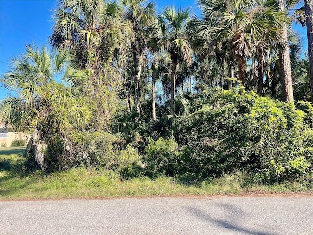 50 Mercer St, Port Charlotte FL, 33954 land for sale