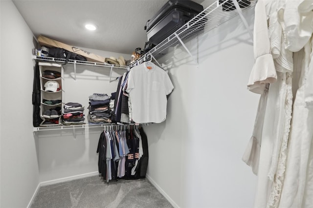 walk in closet with carpet flooring