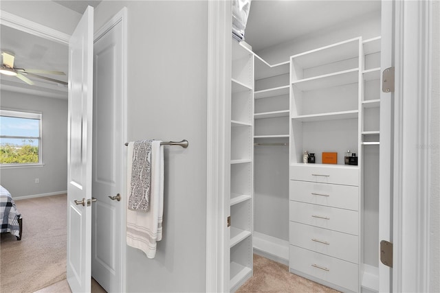 spacious closet with ceiling fan and light carpet