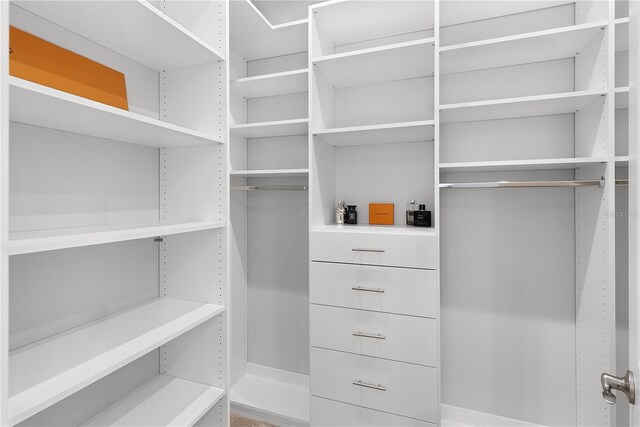 view of spacious closet