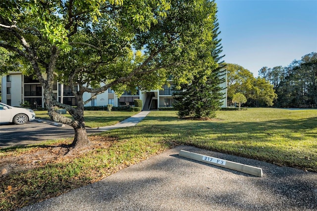 view of community with a lawn