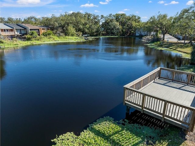 dock area featuring a water view